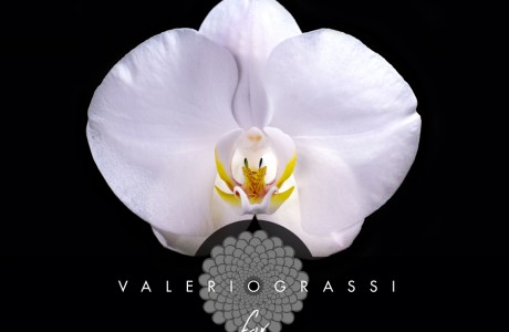 valerio grassi for the Mode